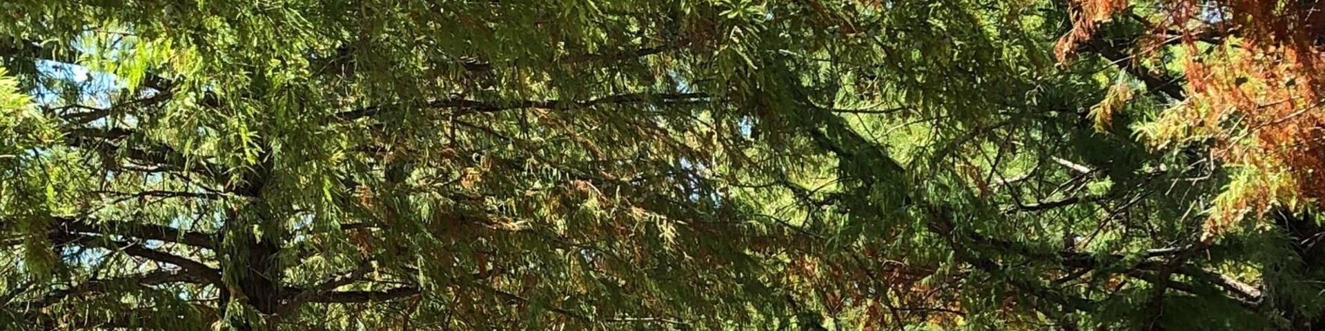 Quite a drive to get to, but such a neat historical winery with some delicious wines. Check out the arrowhead collection of pieces found on the property.