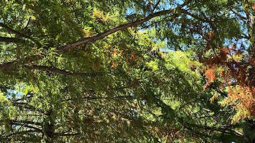 Quite a drive to get to, but such a neat historical winery with some delicious wines. Check out the arrowhead collection of pieces found on the property.