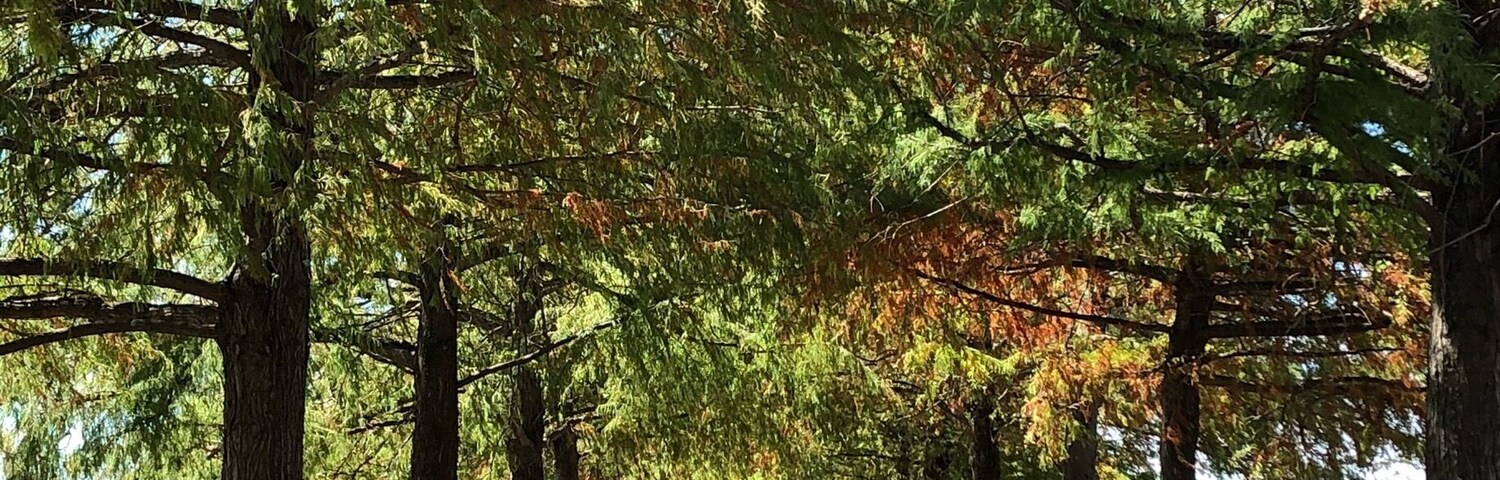 Quite a drive to get to, but such a neat historical winery with some delicious wines.  Check out the arrowhead collection of pieces found on the property.