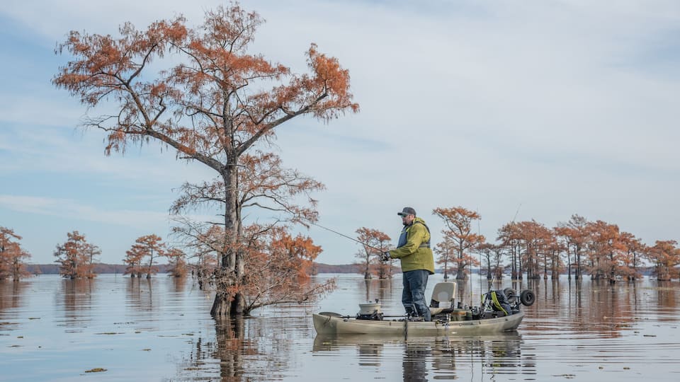 A man fishing in a boat surrounded by trees with autumn foliage.