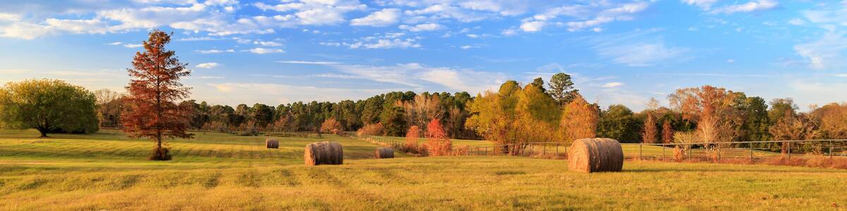 Hay Bales On The East Texas Landscape