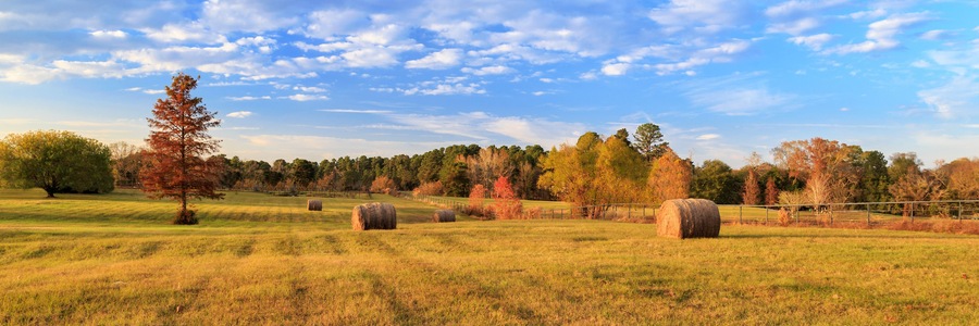 Hay Bales On The East Texas Landscape