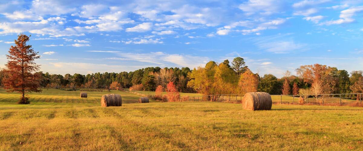 A rural landscape with rolling hills, hay bales, and a variety of trees in autumn colors.