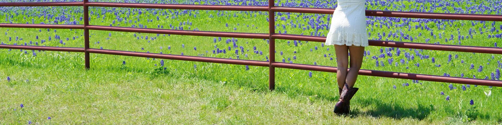 Woman standing along fence viewing Bluebonnet wildflowers in North Texas