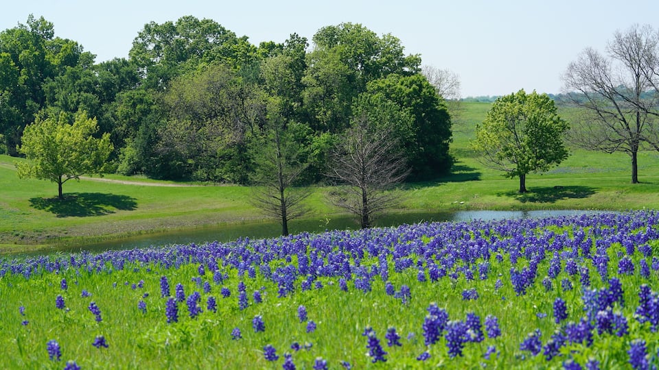Countryside view of Bluebonnet Trails in North Texas