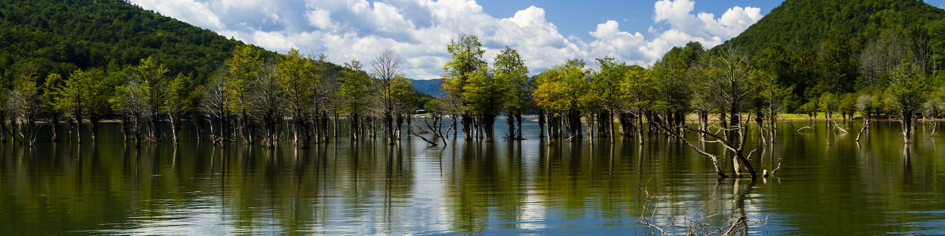 Reflection of Trees in Lake Watauga; Shutterstock ID 483345139; Purchase Order: -