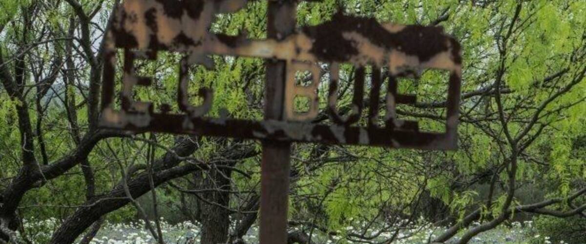 A rusted metal signpost with animal figures in a field of white and blue flowers.