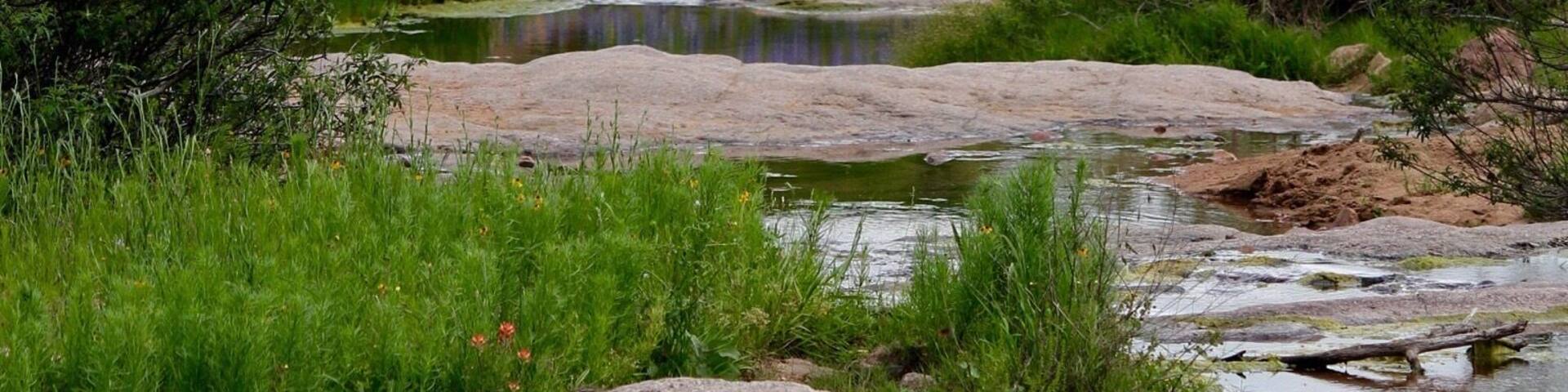 If your already planning road trips for next year you should head to the Texas Hill Country for the wildflowers in bloom! Google websites that will tell give a status of the blooms and best roads to see them. It changes each year depending on the ☔️ rain.
#texasHillCountry #wildflowers #canonusa
#roadtrip
#landscapes
#bluebonnets