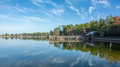 Serene view of Lake Livingston reservoir with nice coulds reflecting in still waters in the East Texas Piney Woods in Polk County, Texas, United States
