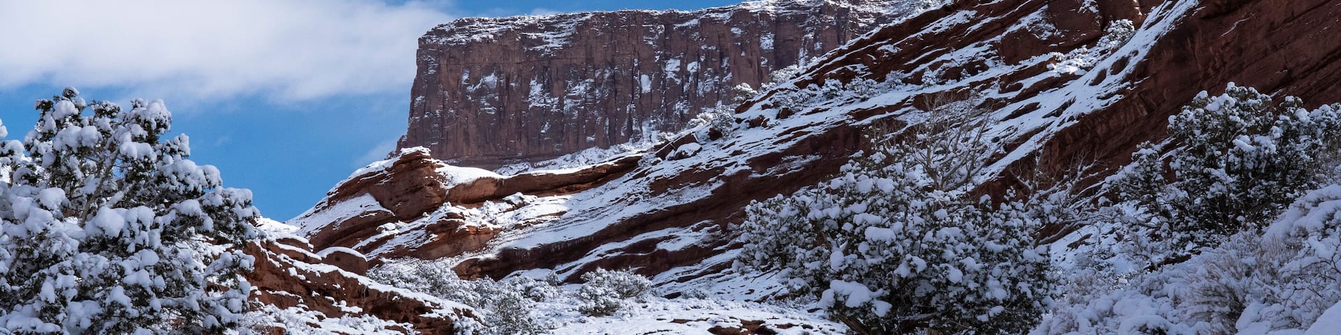 USA, Utah. Winter snowfall in Castle Valley.
