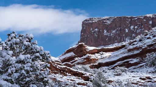 USA, Utah. Winter snowfall in Castle Valley.