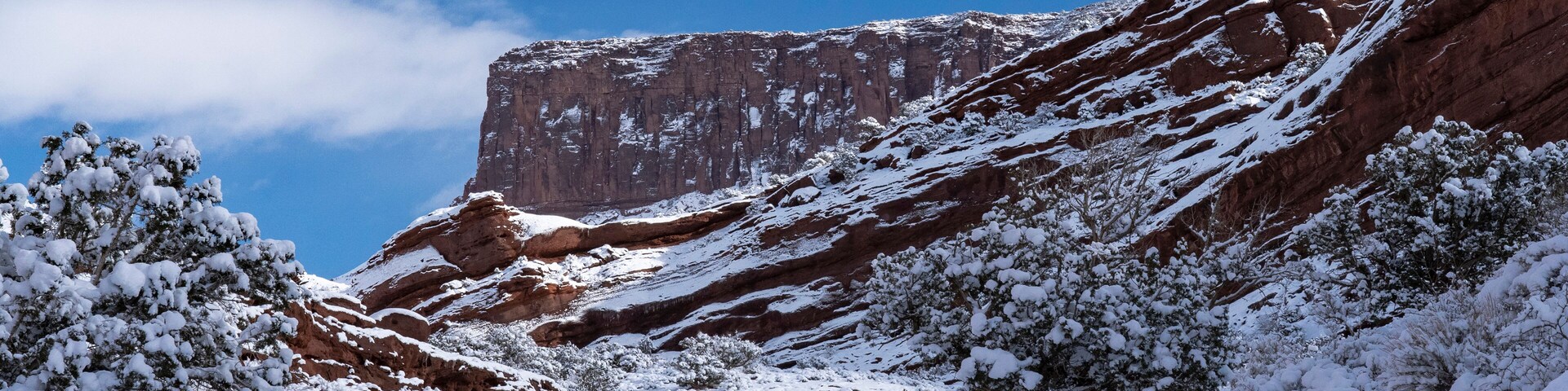 USA, Utah. Winter snowfall in Castle Valley.