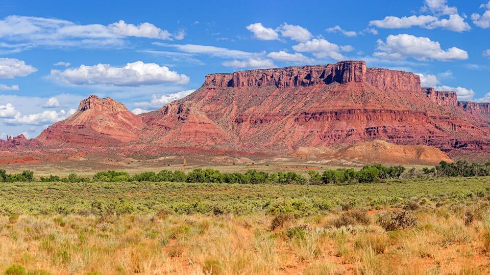 A desert landscape with red rock formations and green vegetation under a blue sky with clouds.