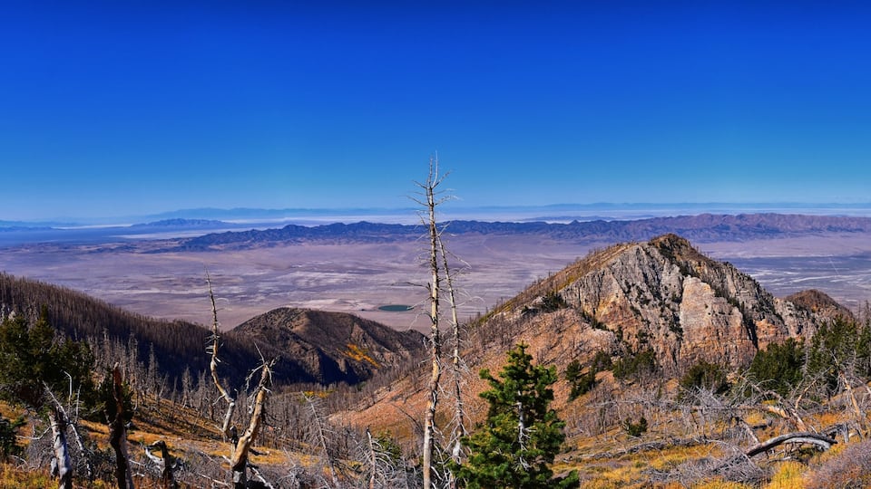 A mountainous landscape with a clear blue sky, a prominent rocky peak, and scattered trees.