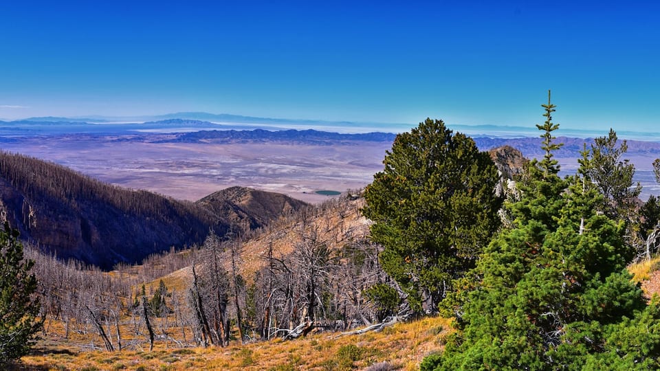 A mountainous landscape with dense forests and a clear view of distant mountains.