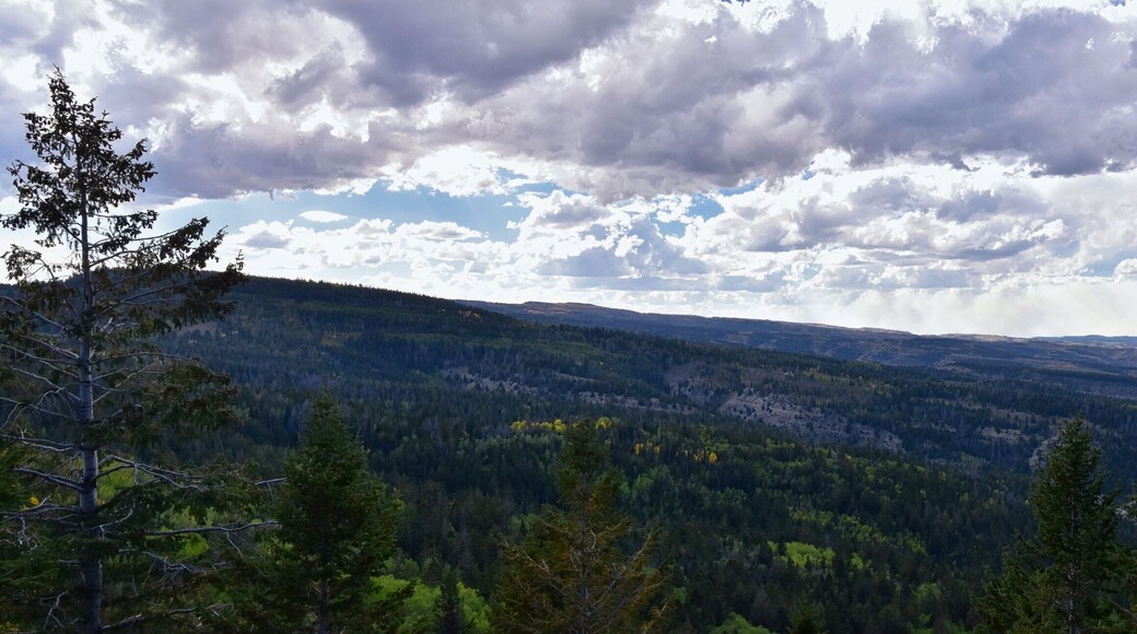 Late Summer early Fall panorama forest views hiking through trees in Indian Canyon, Nine-Mile Canyon Loop between Duchesne and Price on US Highway 191, in the Uinta Basin Range of Utah United States,