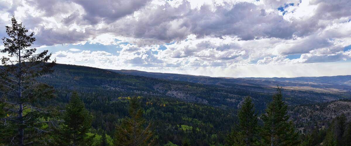 Late Summer early Fall panorama forest views hiking through trees in Indian Canyon, Nine-Mile Canyon Loop between Duchesne and Price on US Highway 191, in the Uinta Basin Range of Utah United States,
