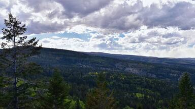 Late Summer early Fall panorama forest views hiking through trees in Indian Canyon, Nine-Mile Canyon Loop between Duchesne and Price on US Highway 191, in the Uinta Basin Range of Utah United States,