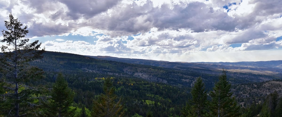 Late Summer early Fall panorama forest views hiking through trees in Indian Canyon, Nine-Mile Canyon Loop between Duchesne and Price on US Highway 191, in the Uinta Basin Range of Utah United States,