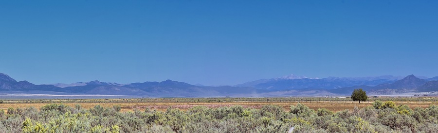Paisaje desértico con vegetación escasa, un único árbol y montañas distantes bajo un cielo azul despejado.