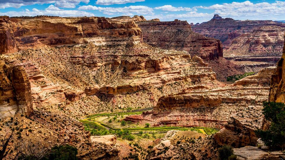 A canyon with layered rock formations and a winding river.