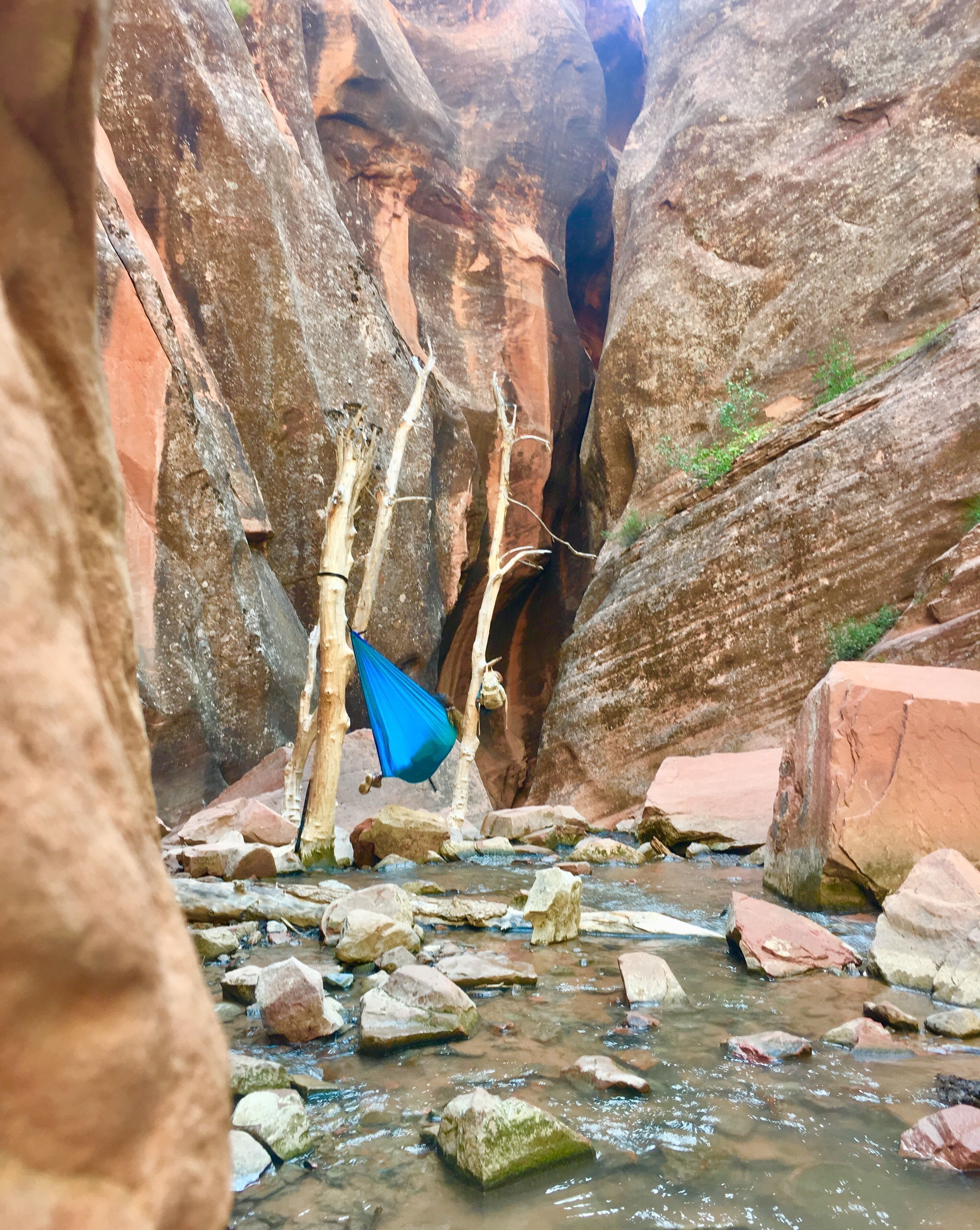 A narrow canyon with a stream flowing through it, surrounded by large reddish-brown rock formations.