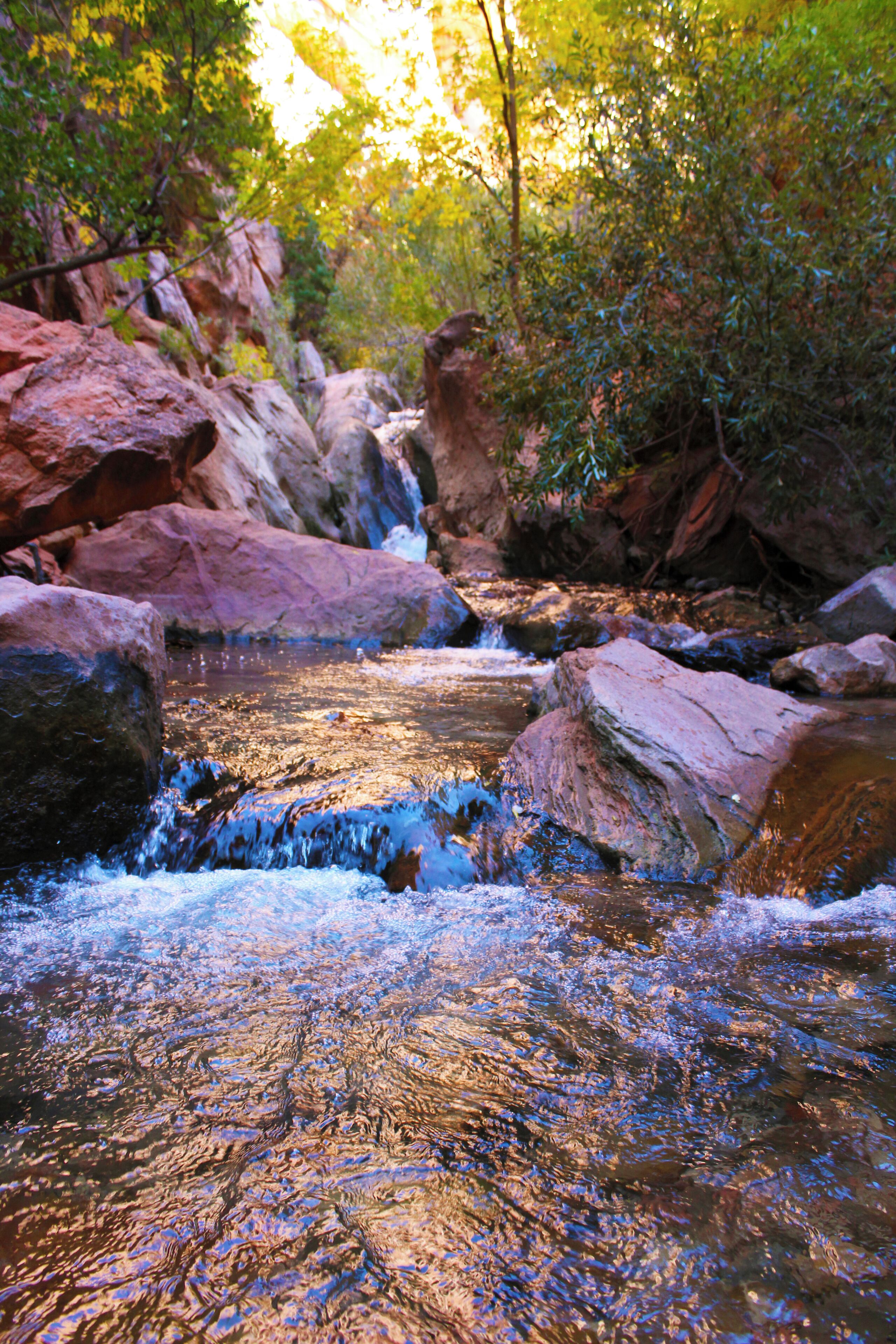 A hidden gem in the Southern Utah, Hike through the river until you come across the waterfall at the end. If you go when the leaves begin to change colors you are in for a massive treat.
#Trovember #trovember #trover