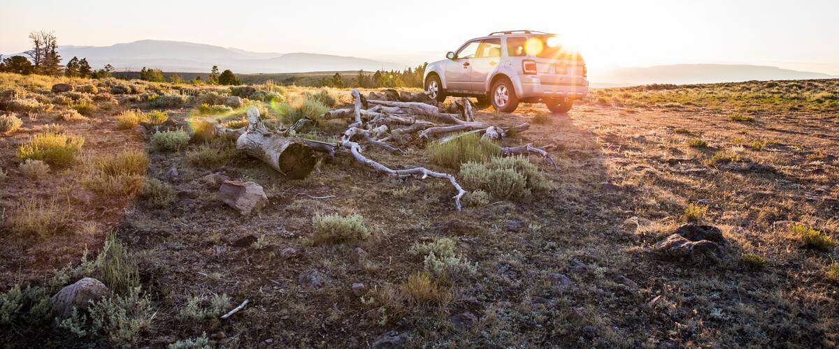 A white SUV on a dirt road in a dry, grassy field with scattered rocks and a clear sky.