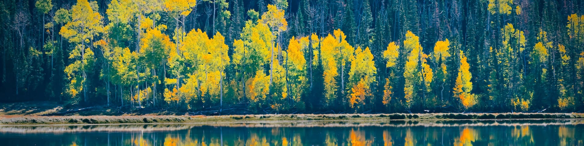 Autumn Colors at Fish Lake Near Richfield Utah