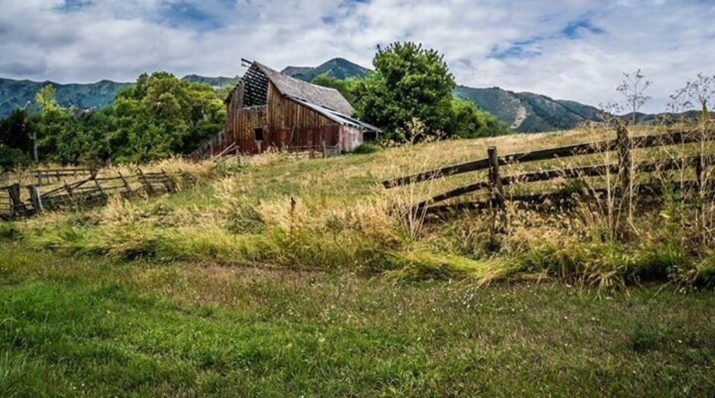 My favorite barn in area.