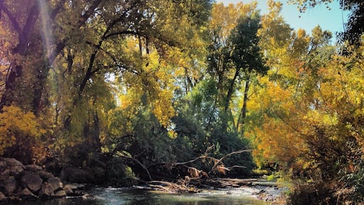 Nice paved path the follows the #river for miles