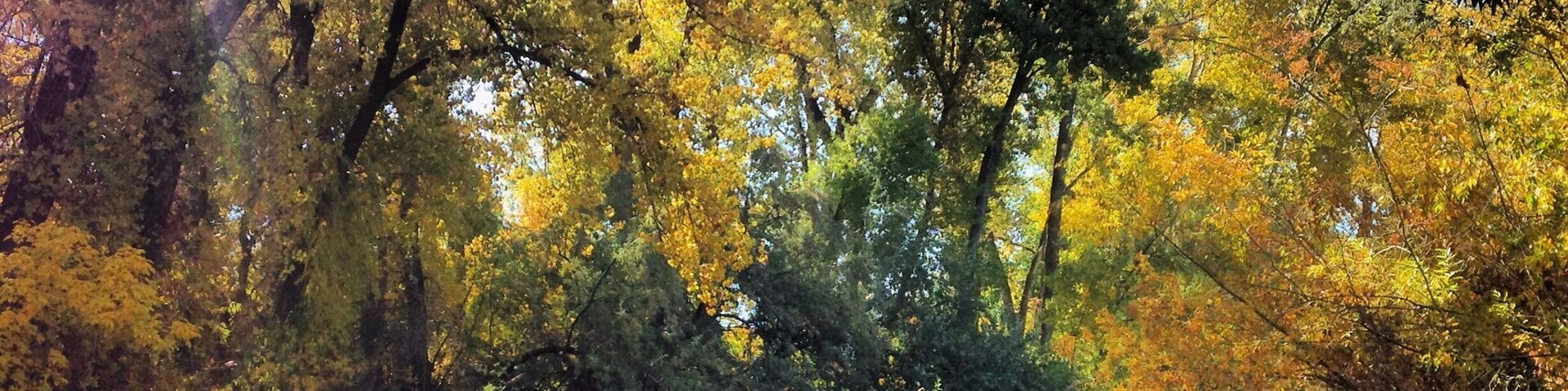 Nice paved path the follows the #river for miles