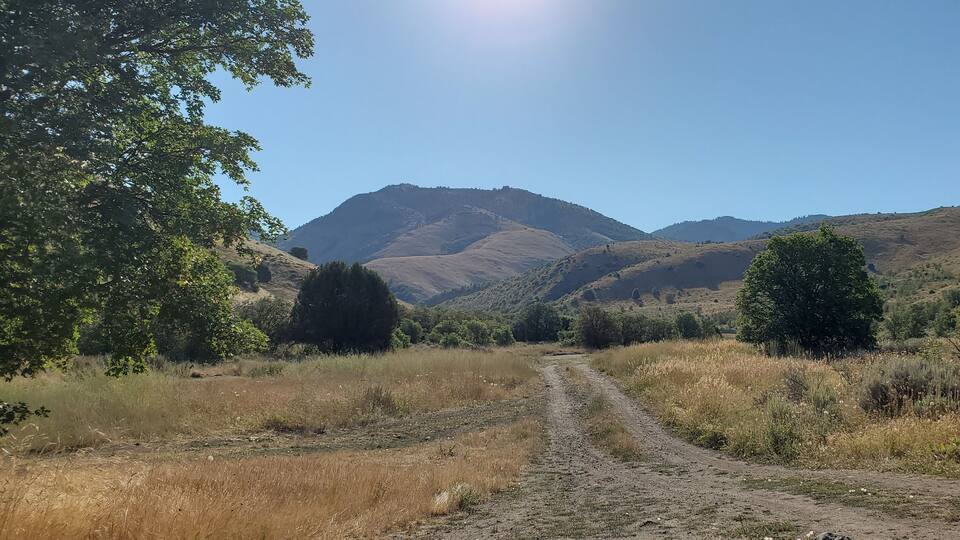A dirt path leading through a hilly landscape with trees and mountains in the background.