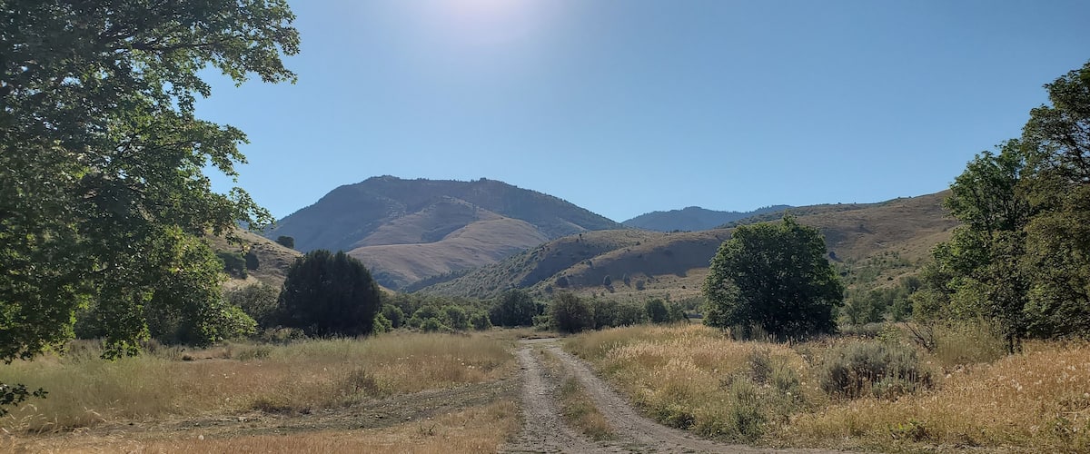 A dirt path leading through a hilly landscape with trees and mountains in the background.
