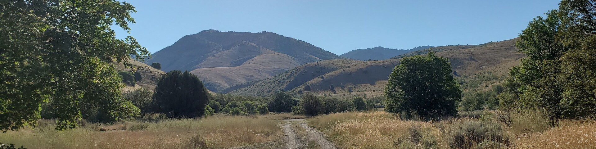 A dirt path leading through a hilly landscape with trees and mountains in the background.