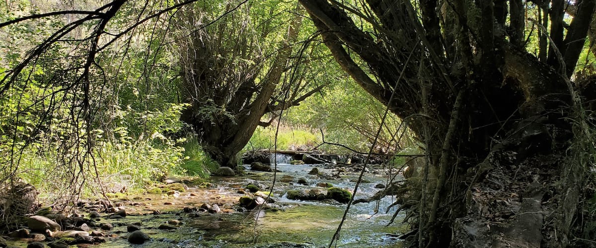 Gentle river, Smithfield Campground, Utah