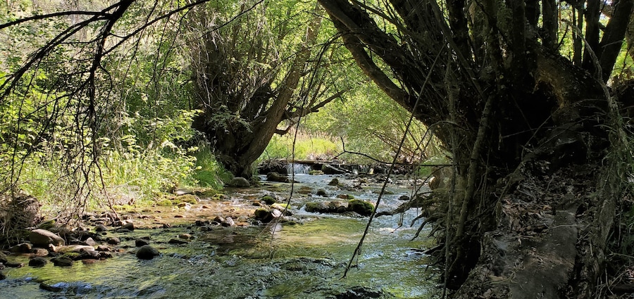 Gentle river, Smithfield Campground, Utah