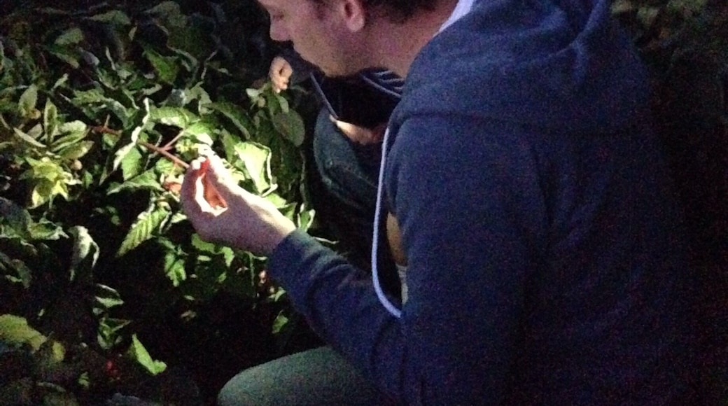 Such a fun place to go pick your own delicious raspberries!