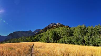 A mountain range with a clear sky, a forested area, and a field with a path.