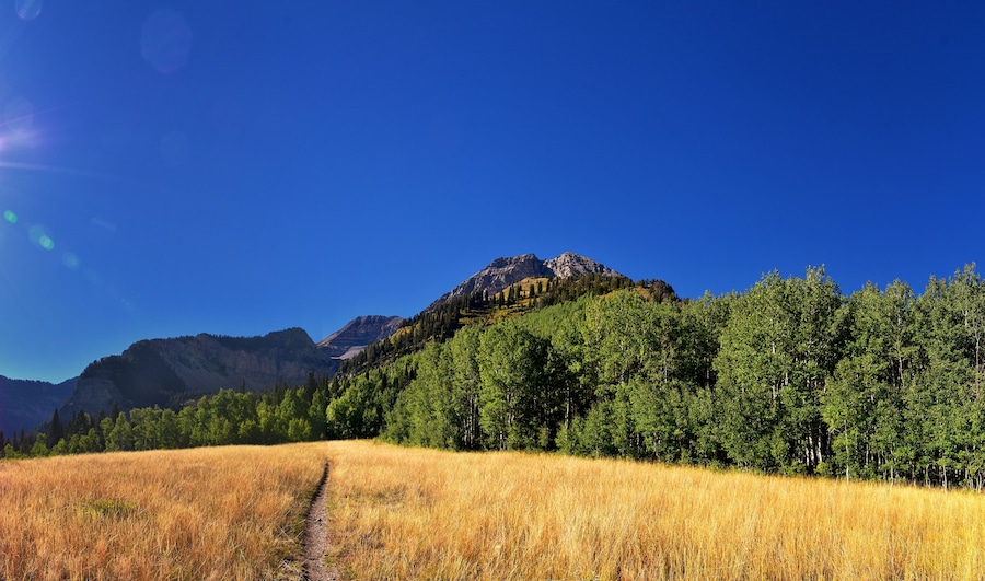 Timpanogos Peak back views hiking Bear Canyon Trail Wasatch Range, Utah. United States.