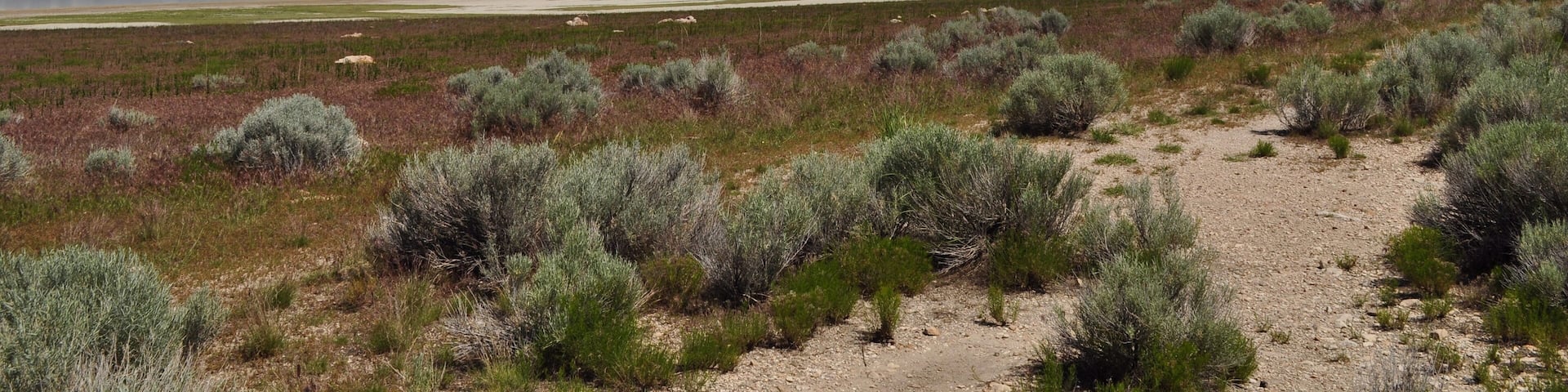 Antelope Island, Utah