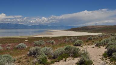 Antelope Island, Utah