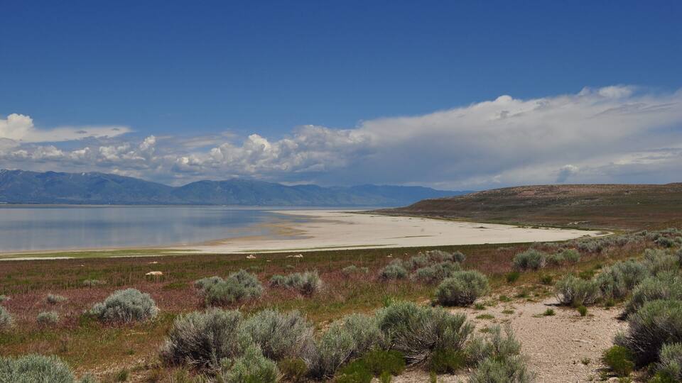A desert landscape with sparse vegetation, a large lake, and distant mountains under a clear sky.