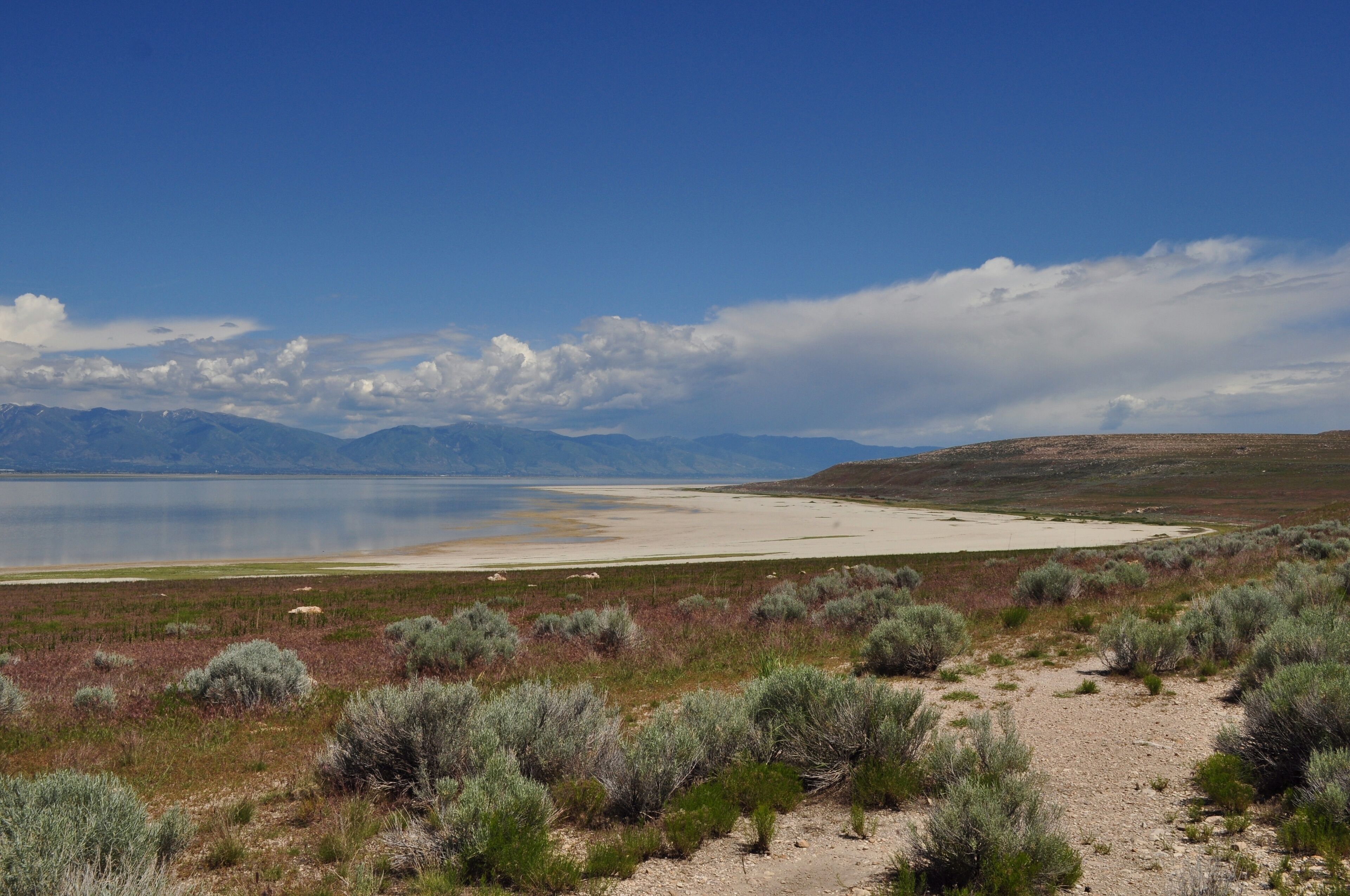 A desert landscape with sparse vegetation, a large lake, and distant mountains under a clear sky.