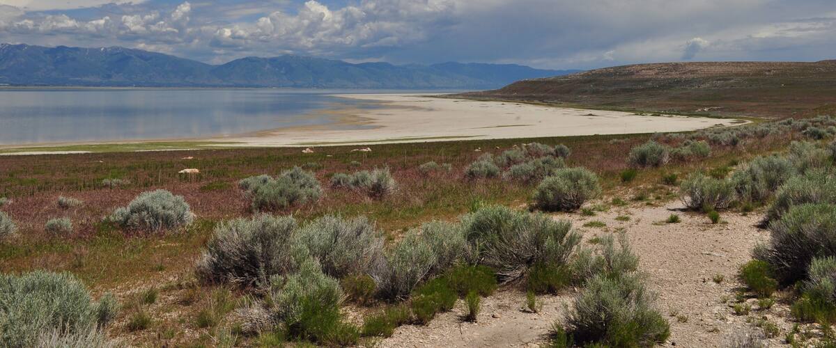 A desert landscape with sparse vegetation, a large lake, and distant mountains under a clear sky.