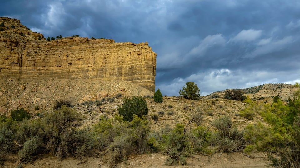 A rocky cliff with sparse vegetation and a cloudy sky.