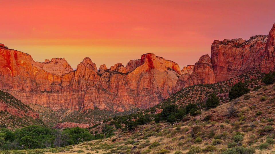 A canyon with red rock formations and sparse vegetation.