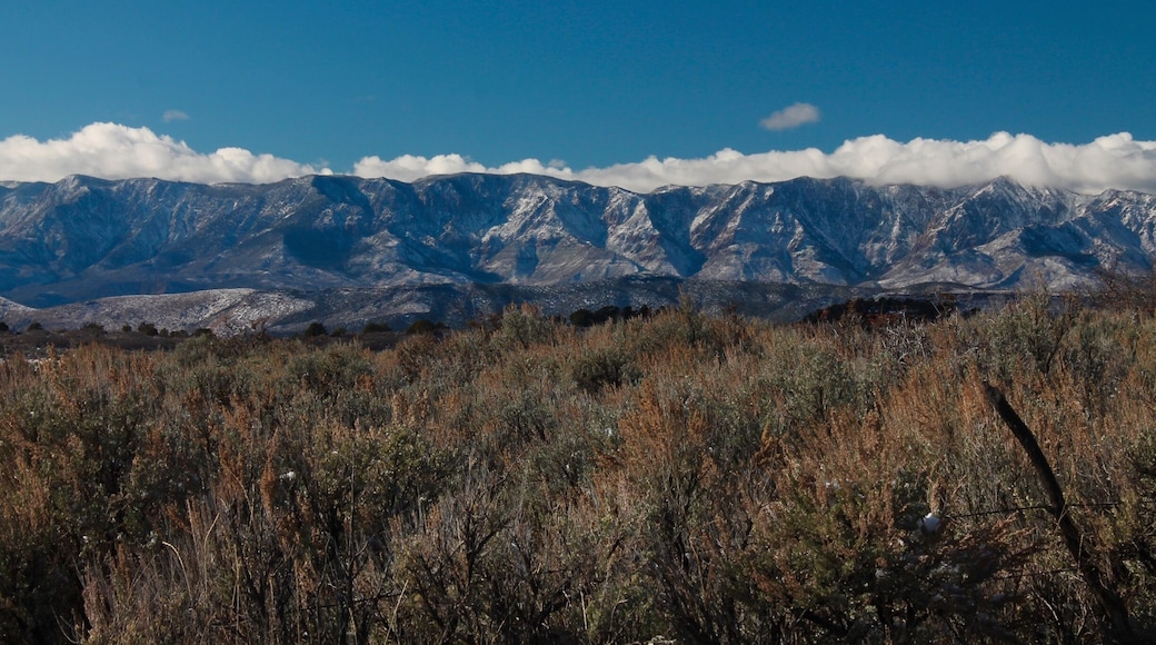 You'll see this view as you leave Zion National Park and travel toward the town of Virgin, UT. Spectacular scenery everywhere you look. #virginutah #mountains #blue #colorful