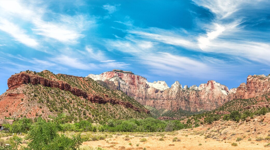 Zion National Park landscape, panoramic view on a summer day