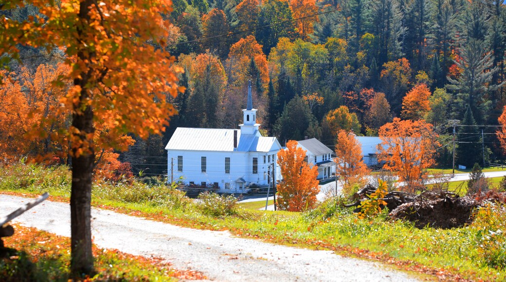 A white church with a steeple, surrounded by autumn foliage and a gravel road.